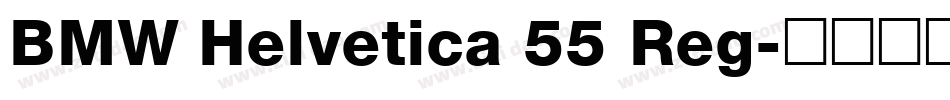 BMW Helvetica 55 Reg字体转换